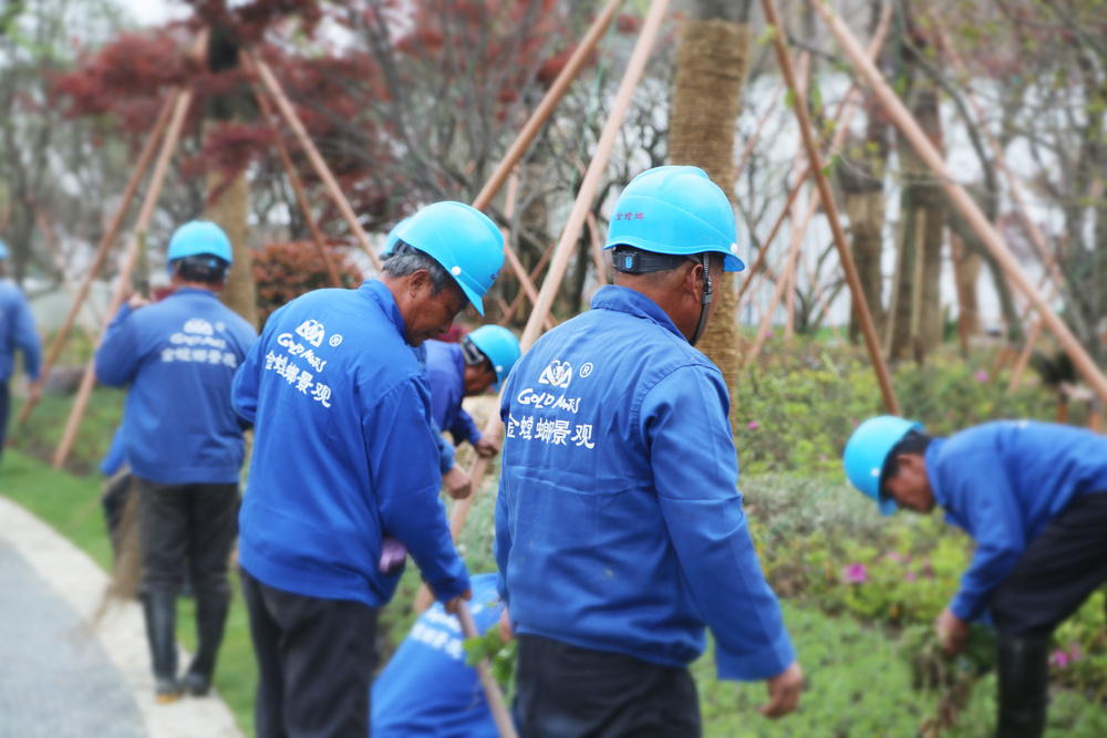 MG电子游戏(中国集团)官方网站